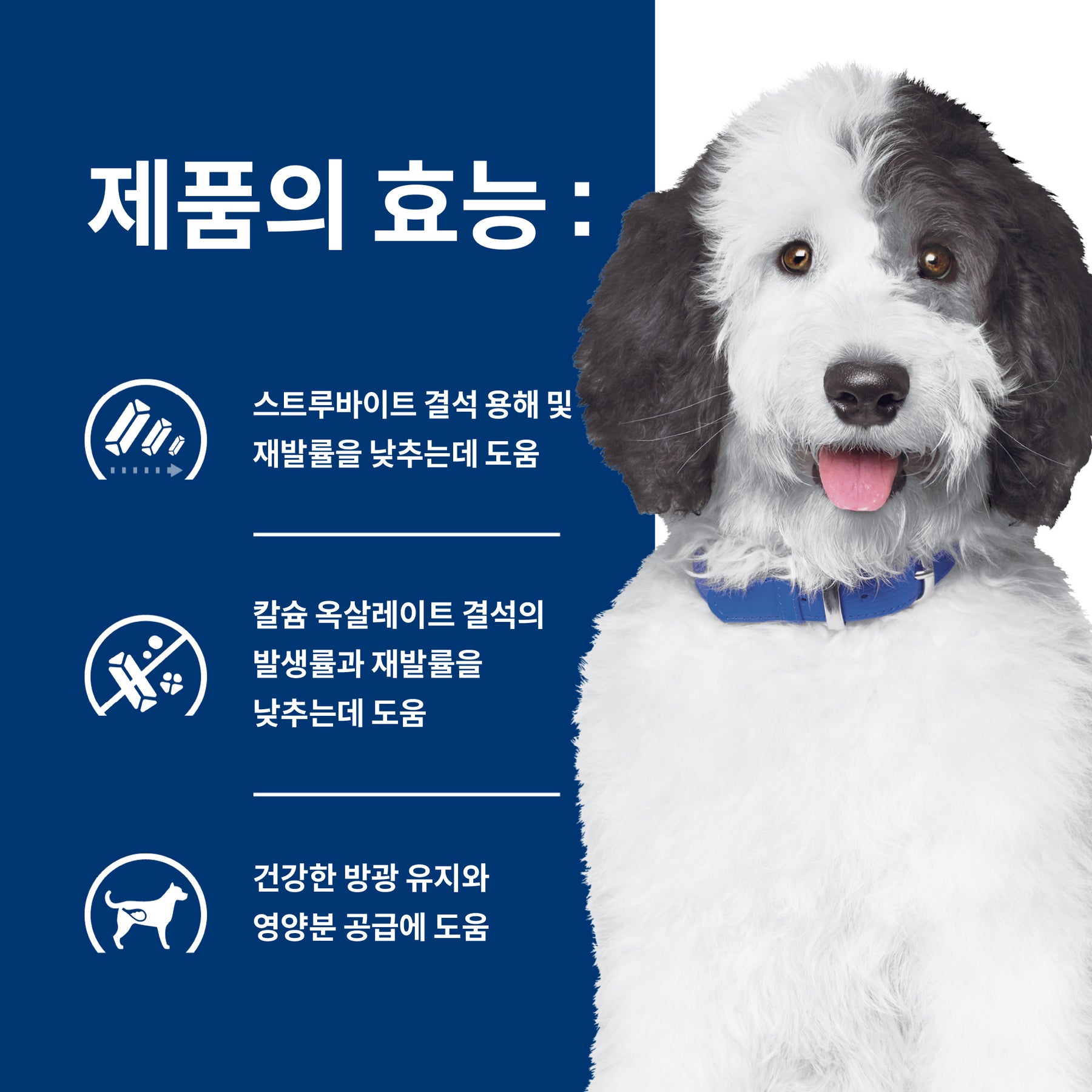 힐스 프리스크립션 다이어트 c/d 멀티케어 반려견용 건사료