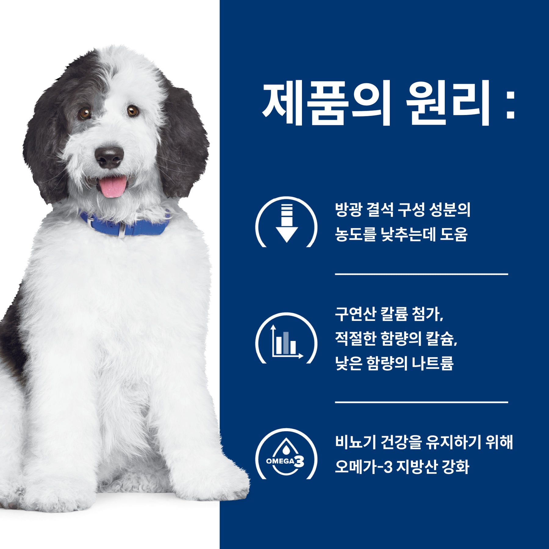 힐스 프리스크립션 다이어트 c/d 멀티케어 반려견용 건사료