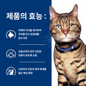 힐스 프리스크립션 다이어트 t/d 반려묘용 건사료 1.5kg