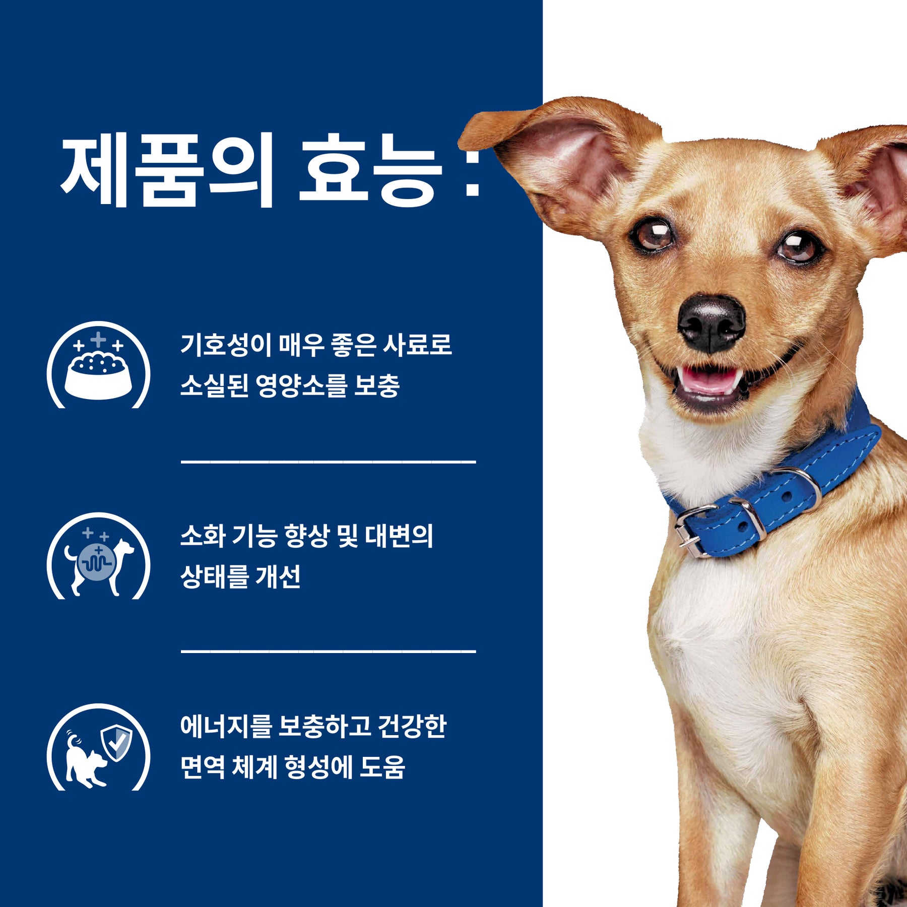 힐스 프리스크립션 다이어트 i/d 스몰바이트 반려견용 건사료