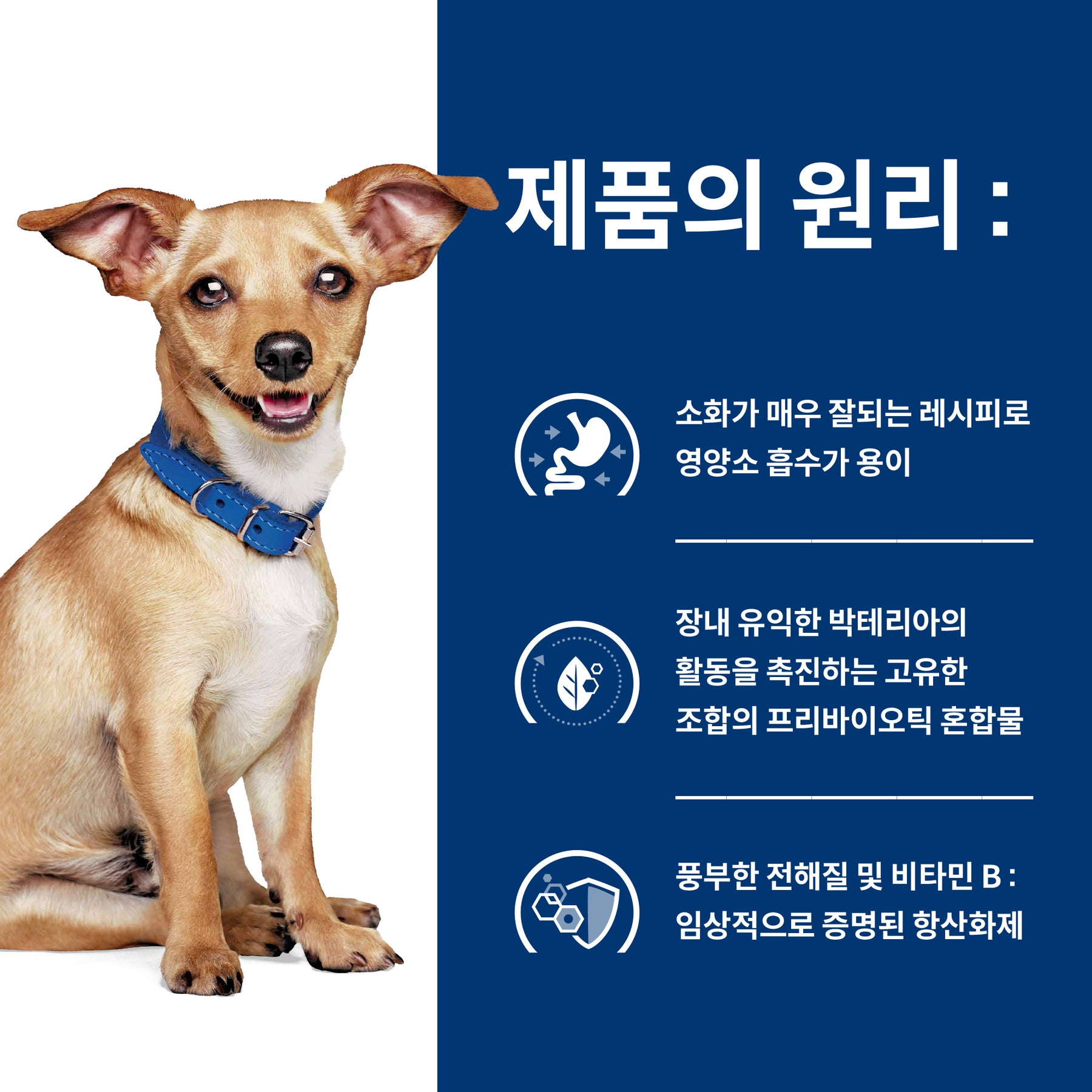 힐스 프리스크립션 다이어트 i/d 스몰바이트 반려견용 건사료