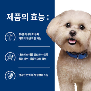 힐스 프리스크립션 다이어트 z/d 스몰바이트 반려견용 건사료