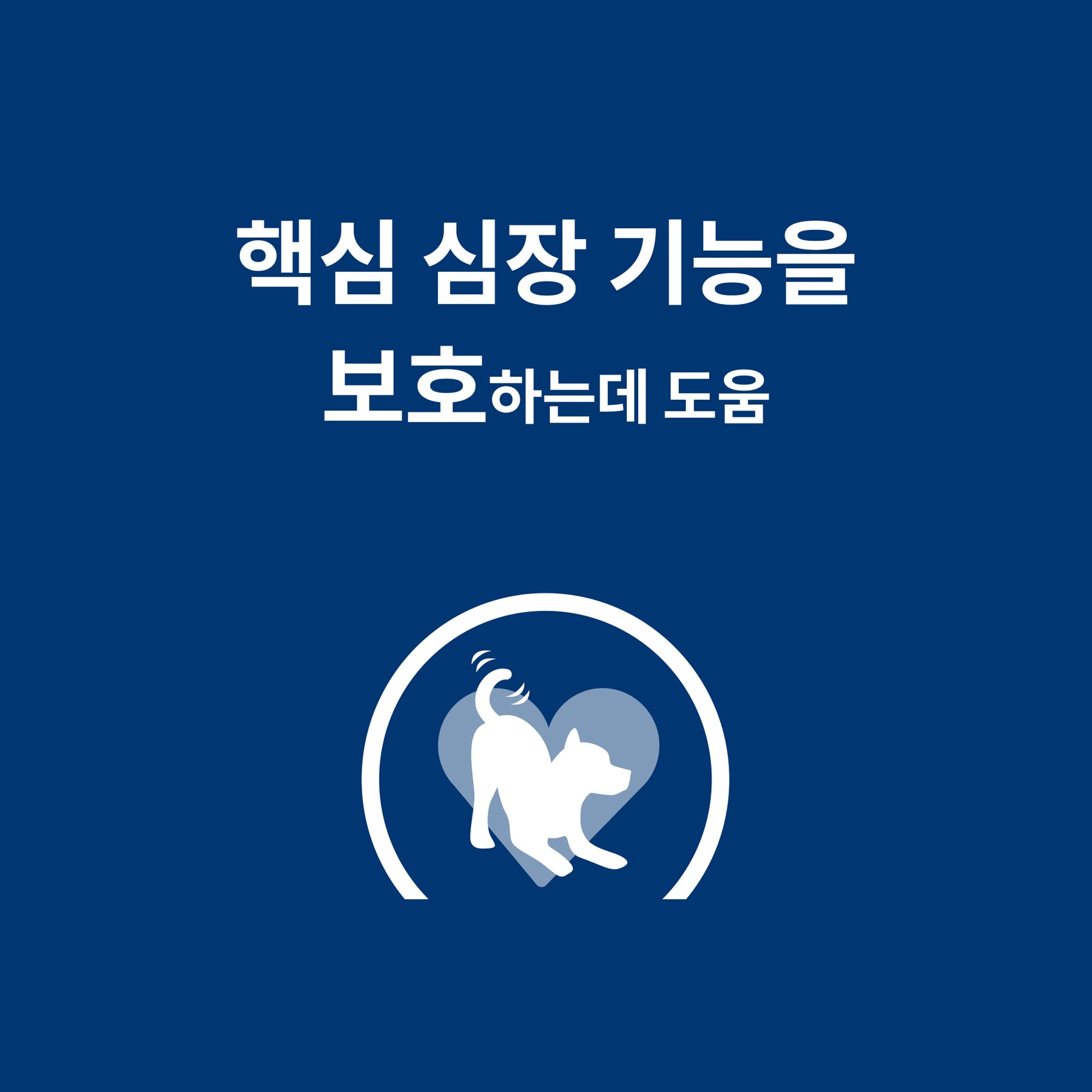 힐스 프리스크립션 다이어트 h/d 반려견용 건사료 1.5kg