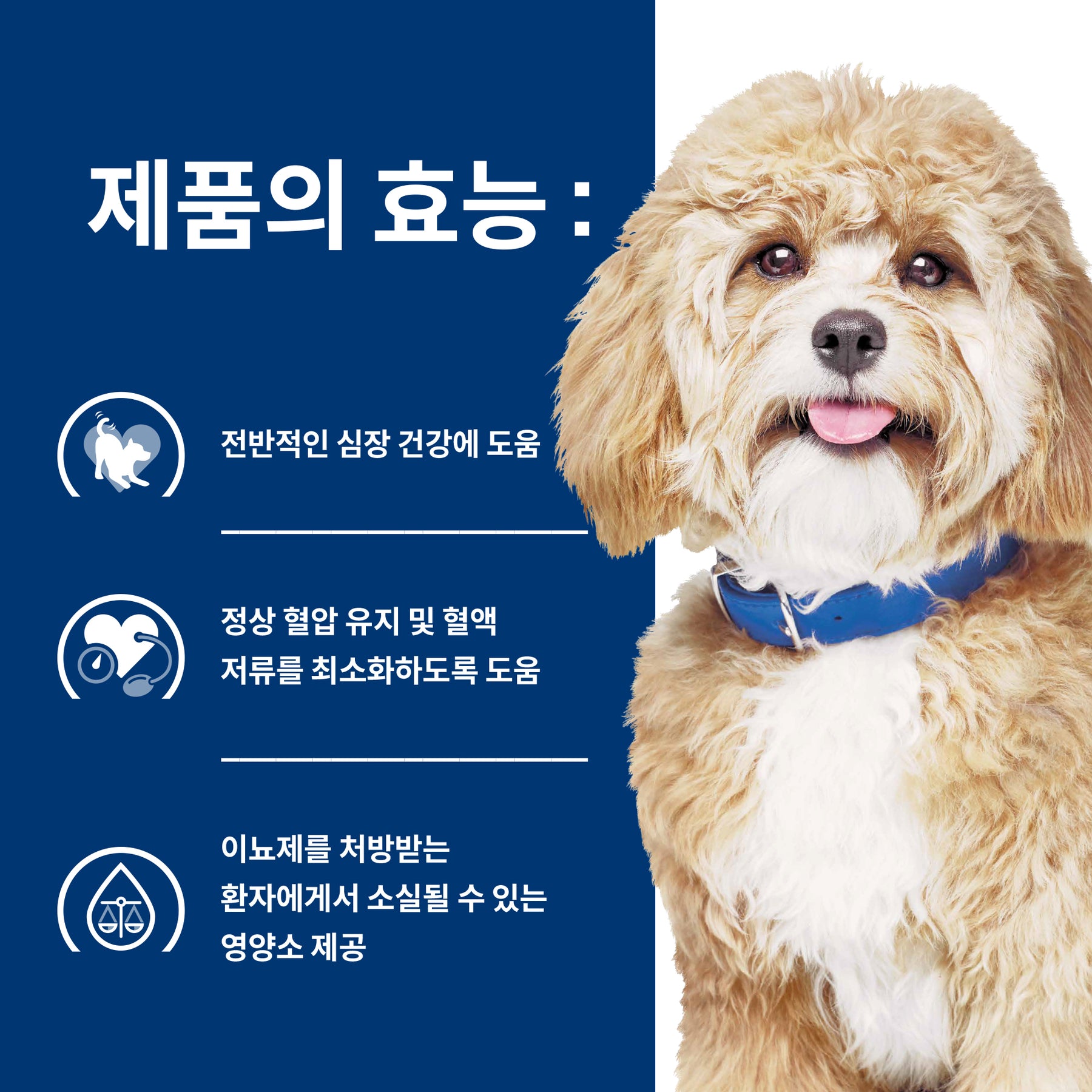힐스 프리스크립션 다이어트 h/d 반려견용 건사료 1.5kg