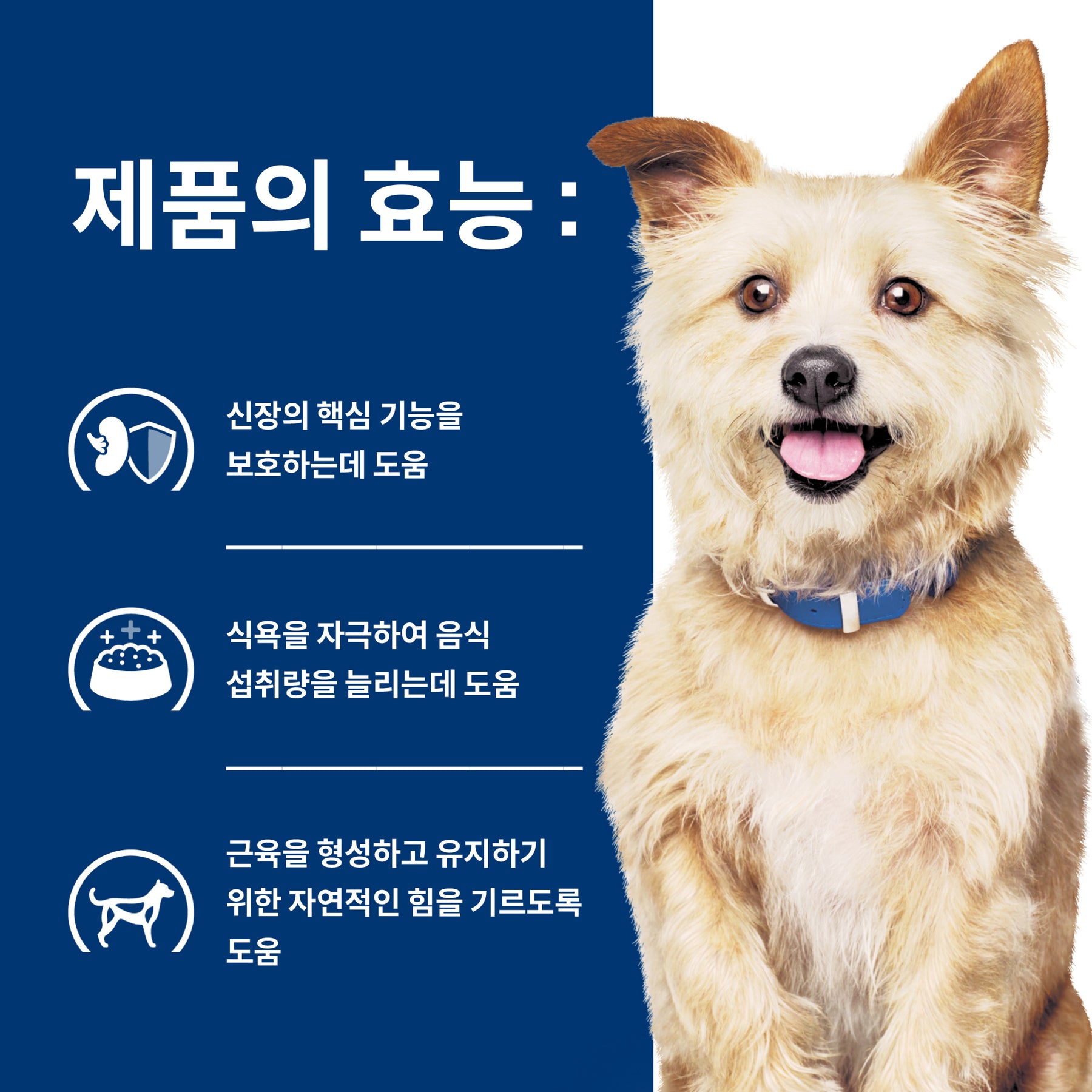 힐스 프리스크립션 다이어트k/d 반려견용 건사료