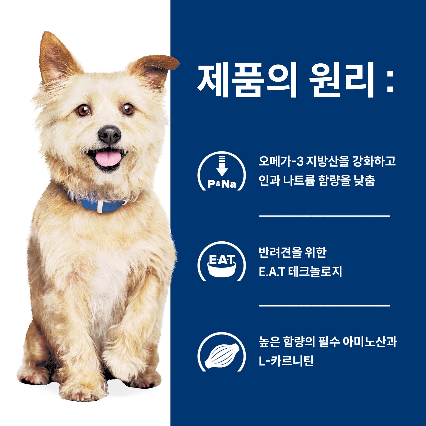 힐스 프리스크립션 다이어트k/d 반려견용 건사료