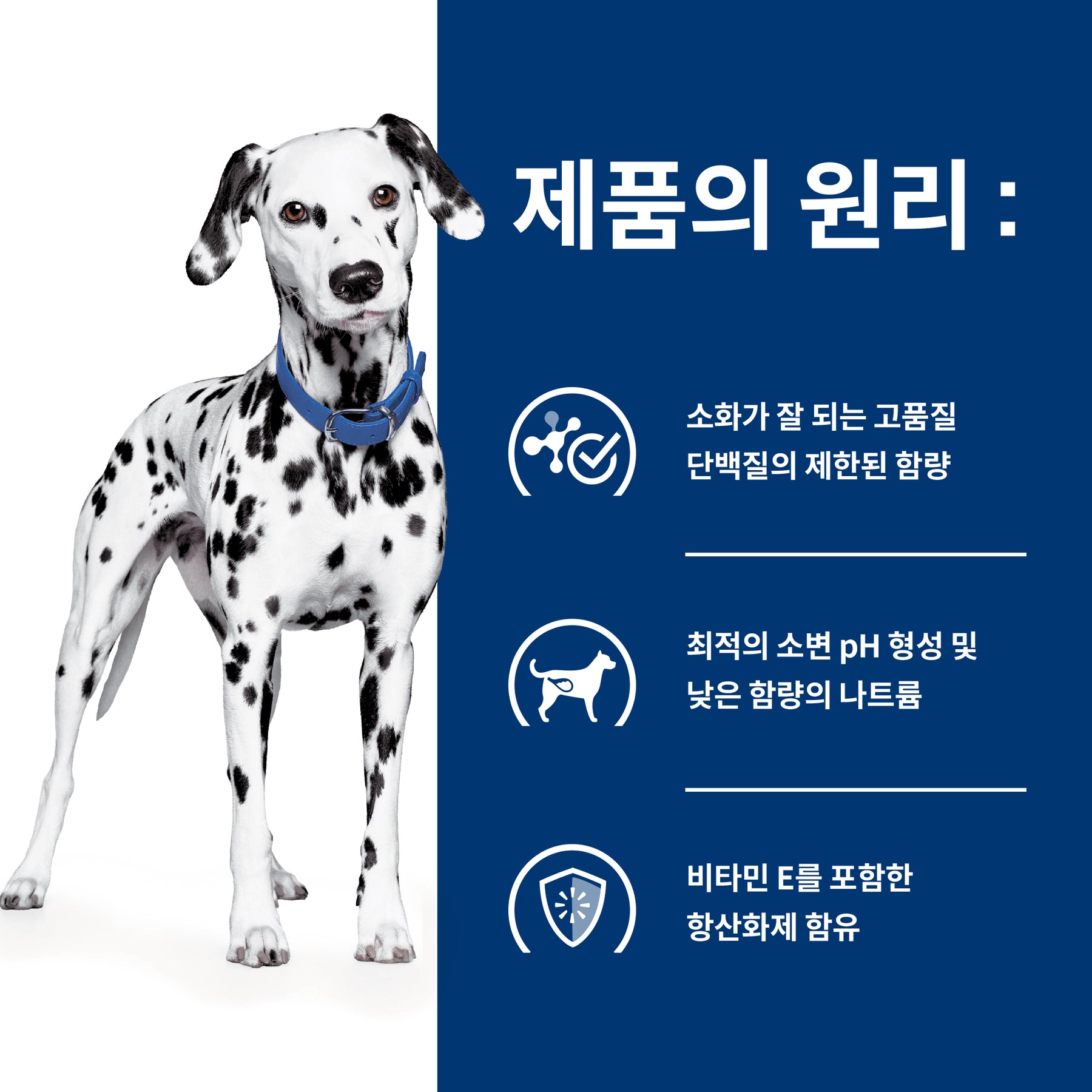 힐스 프리스크립션 다이어트 u/d 반려견용 건사료