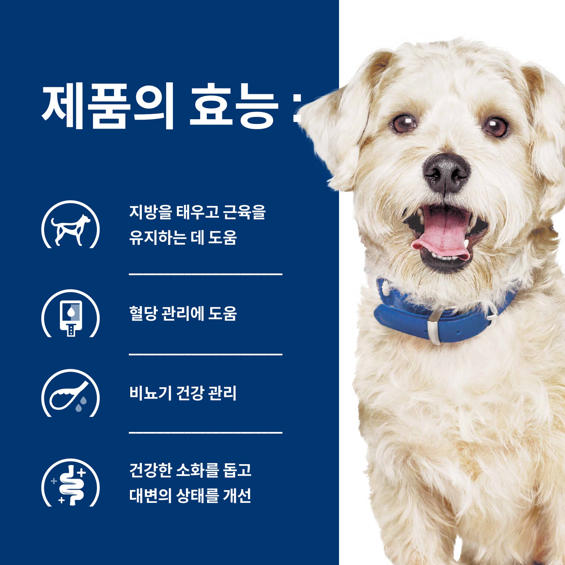 힐스 프리스크립션 다이어트 w/d 멀티베네핏 반려견용 건사료