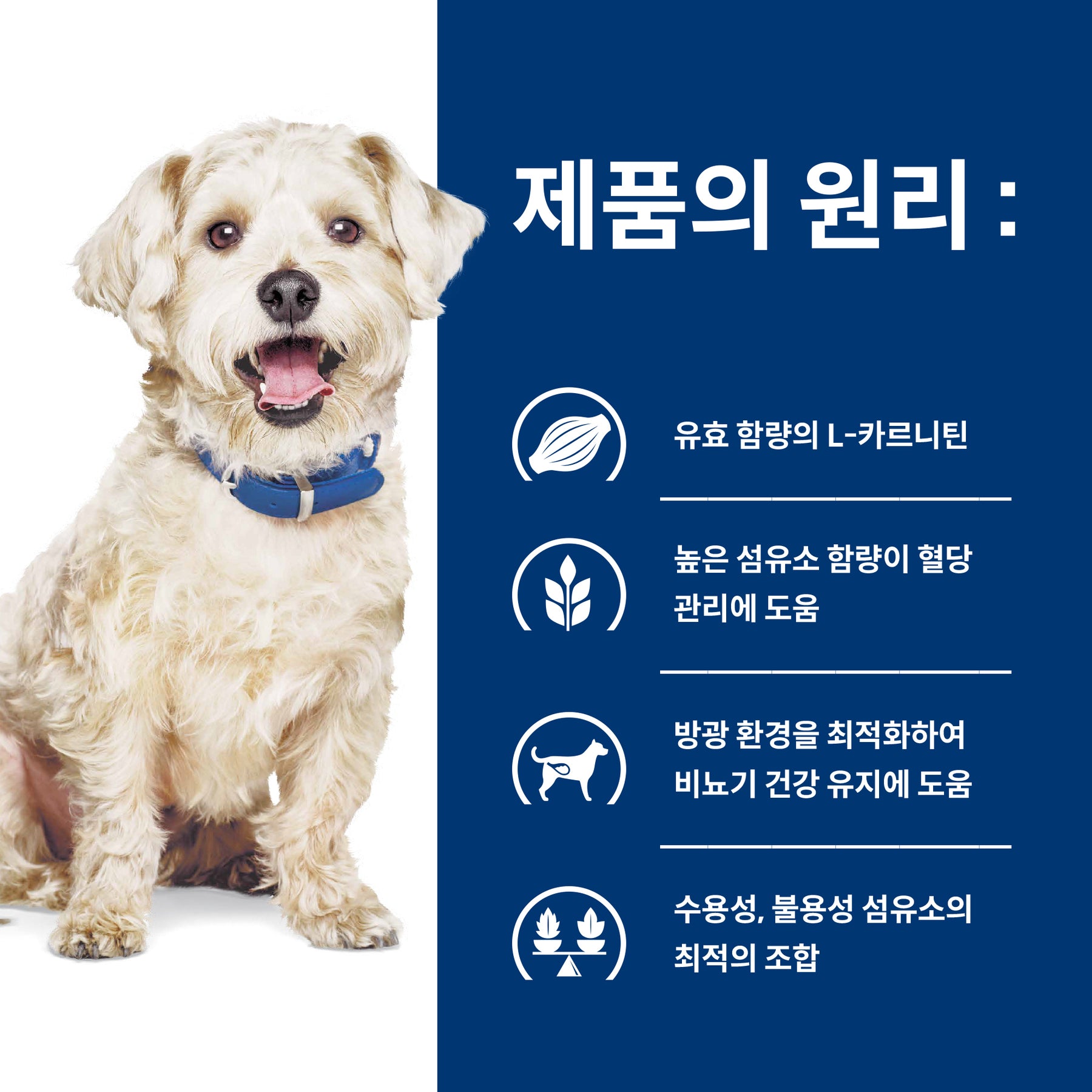 힐스 프리스크립션 다이어트 w/d 멀티베네핏 반려견용 건사료
