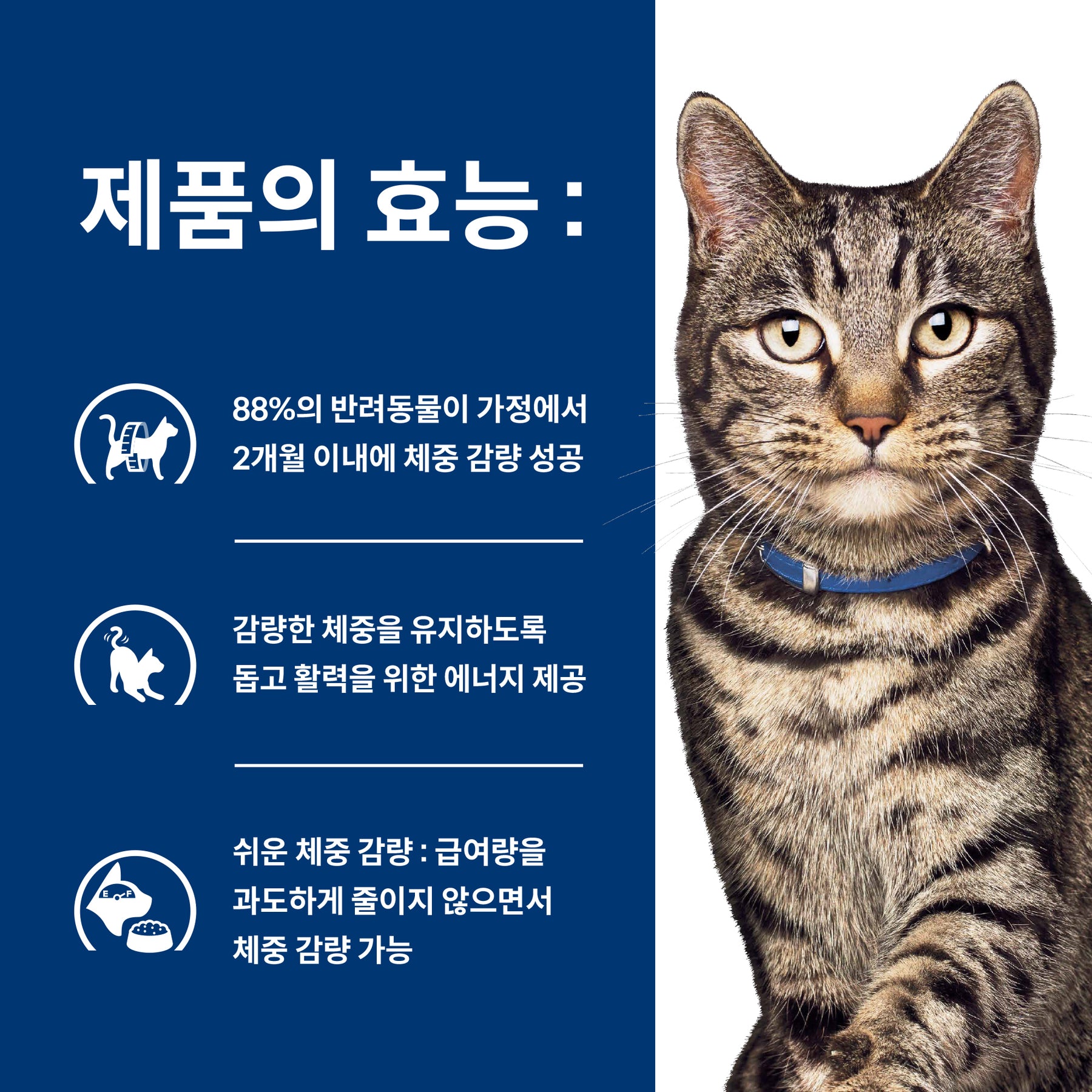 힐스 프리스크립션 다이어트 Metabolic 반려묘용 건사료