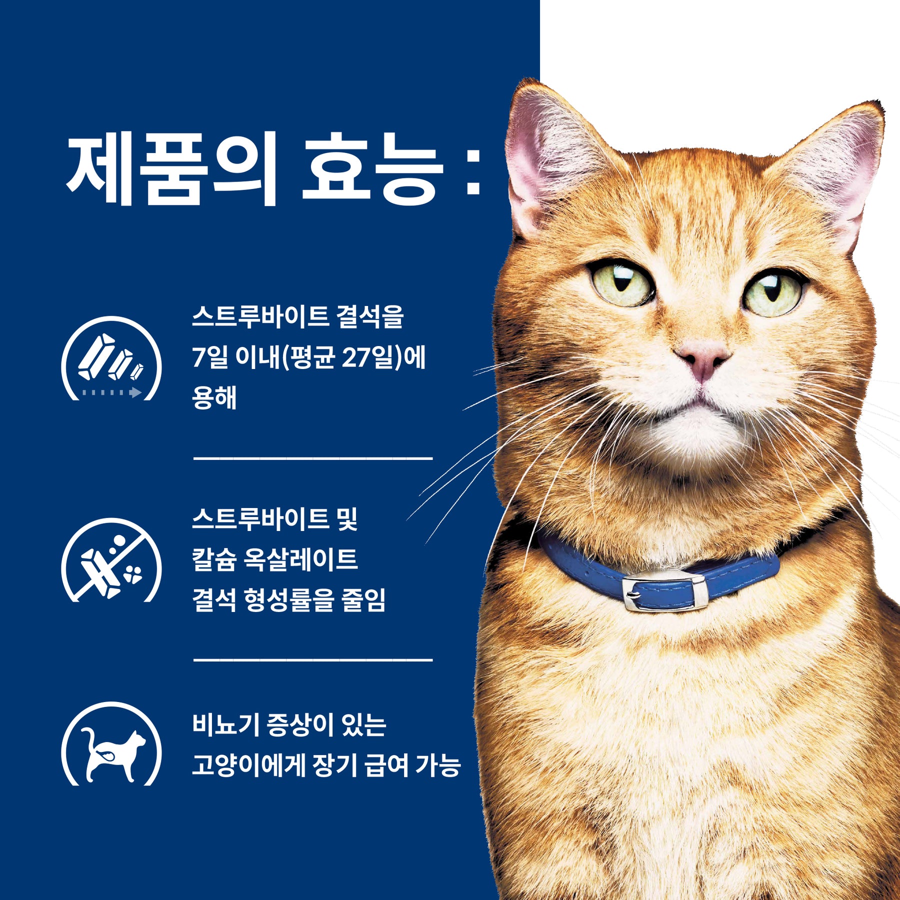 힐스 프리스크립션 다이어트 c/d 멀티케어 반려묘용 건사료