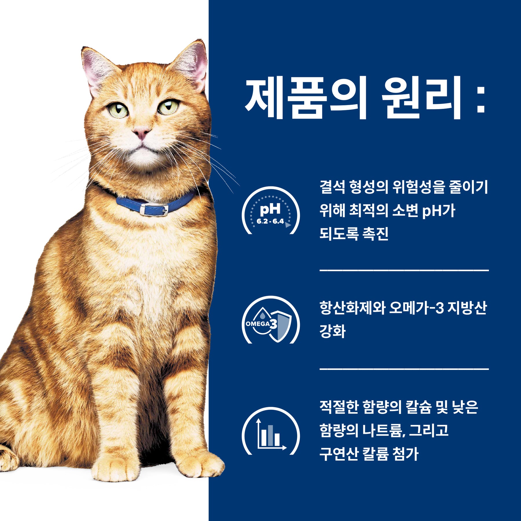 힐스 프리스크립션 다이어트 c/d 멀티케어 반려묘용 건사료