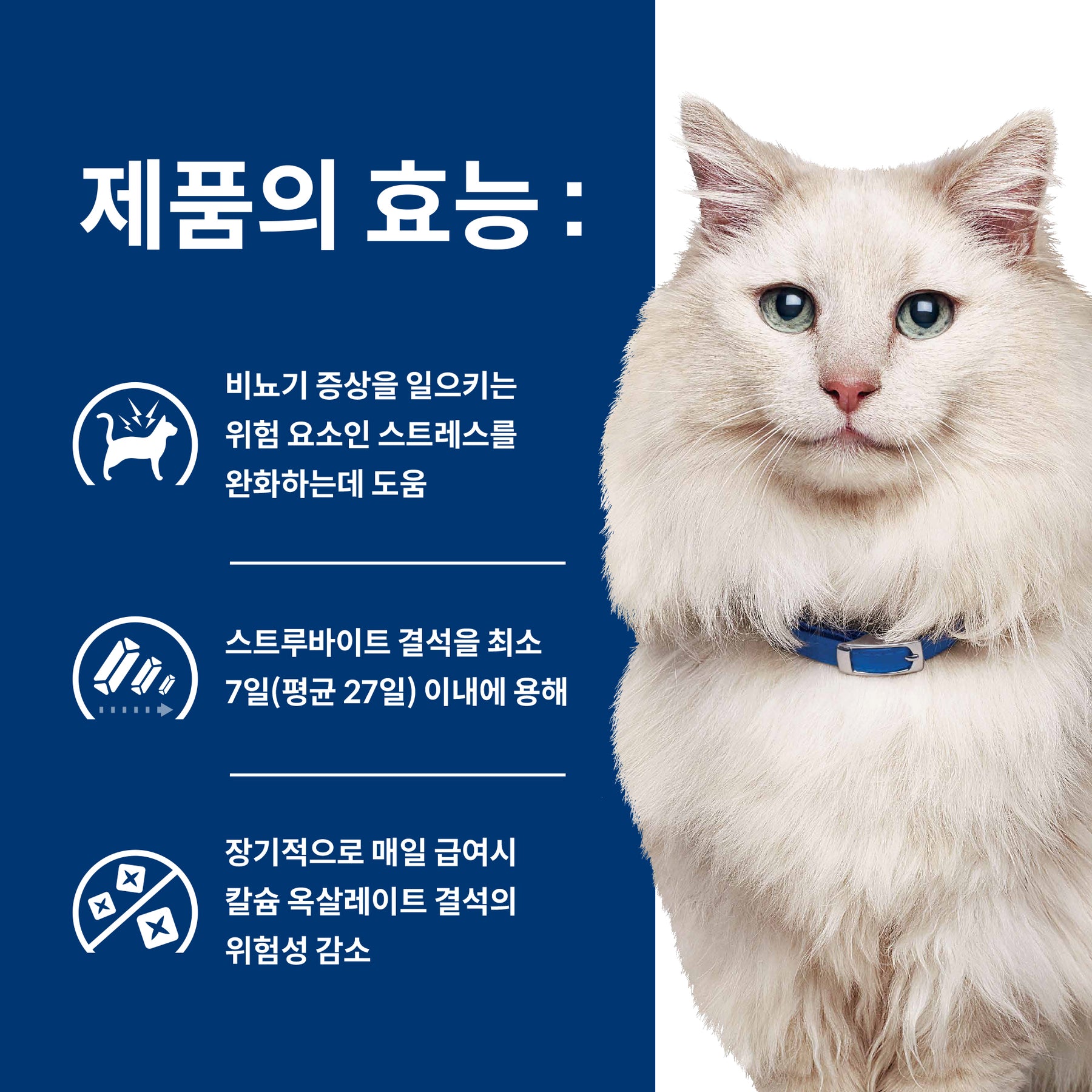 힐스 프리스크립션 다이어트 c/d 멀티케어 스트레스 반려묘용 건사료