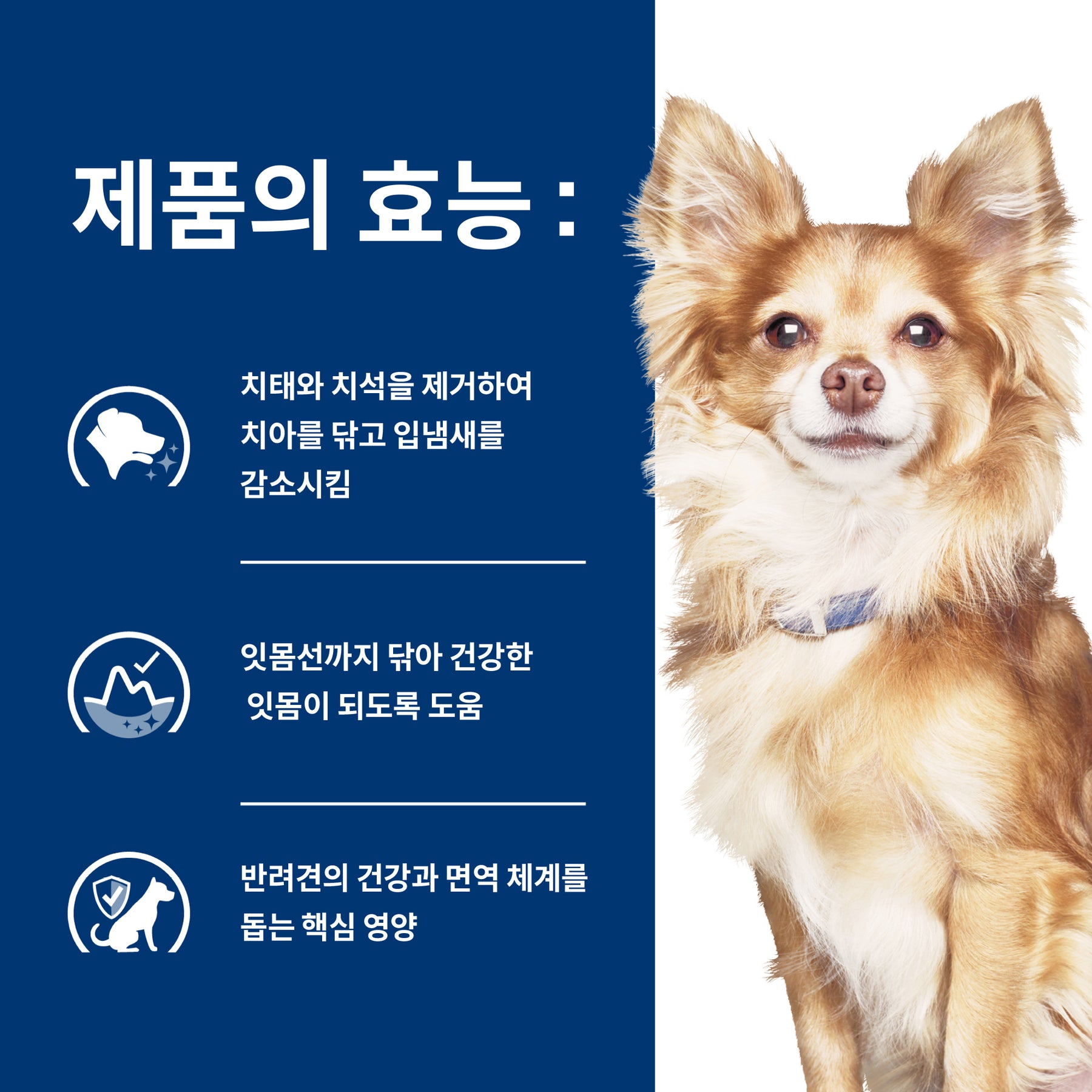 힐스 프리스크립션 다이어트 t/d 스몰바이트 반려견용 건사료 2.26kg