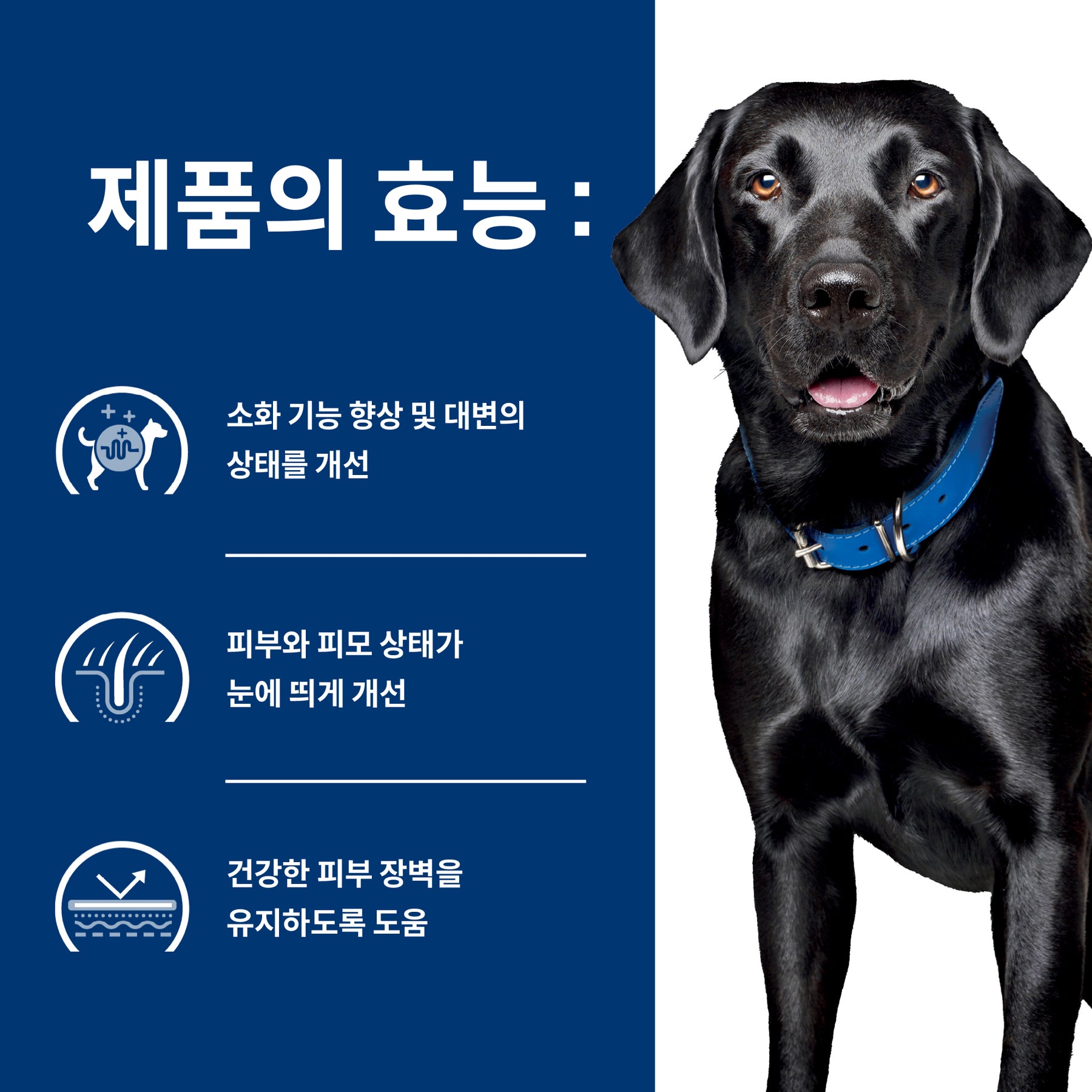 힐스 프리스크립션 다이어트 d/d 반려견용 건사료 3.63kg