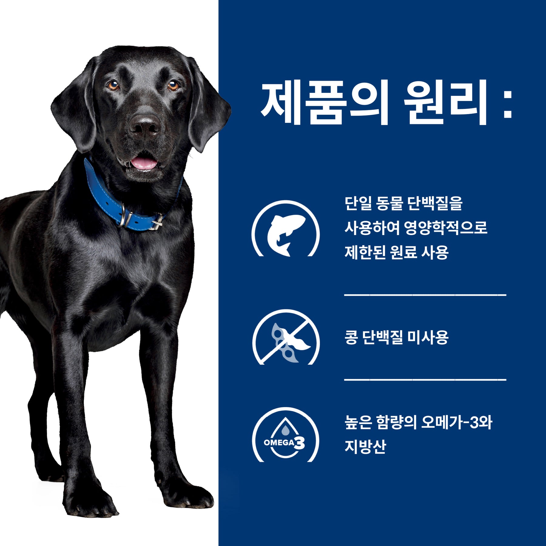 힐스 프리스크립션 다이어트 d/d 반려견용 건사료 3.63kg