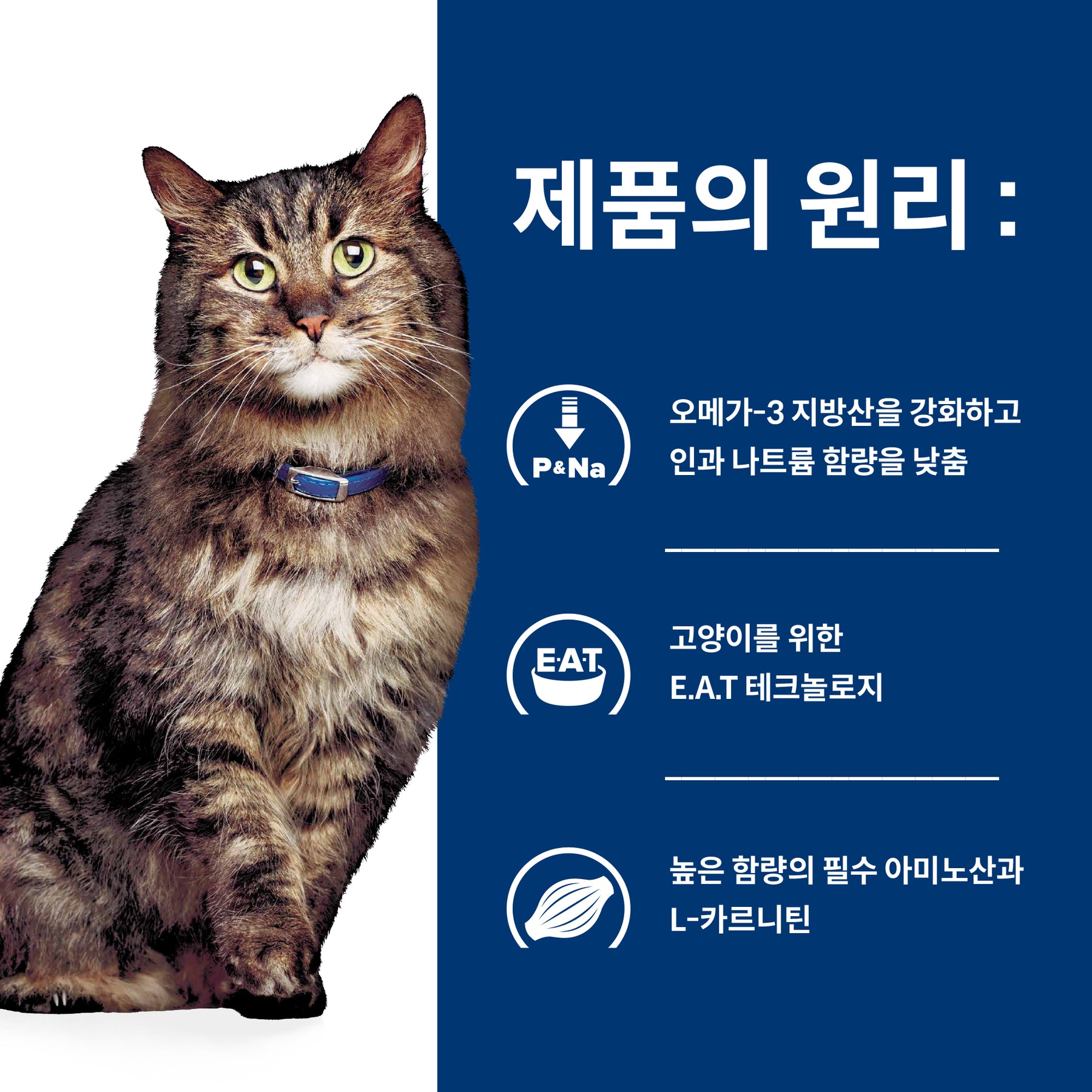 힐스 프리스크립션 다이어트k/d 얼리 서포트 반려묘용 건사료 1.81kg