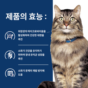 힐스 프리스크립션 다이어트 GI 바이옴 반려묘용 건사료