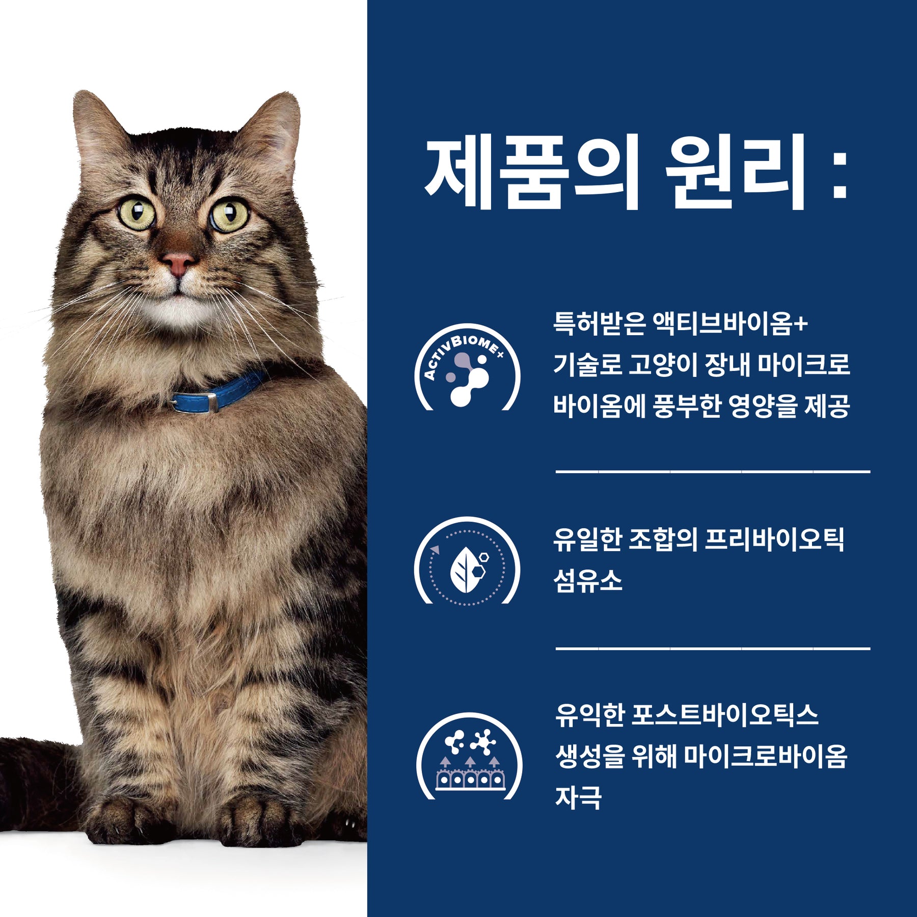 힐스 프리스크립션 다이어트 GI 바이옴 반려묘용 건사료