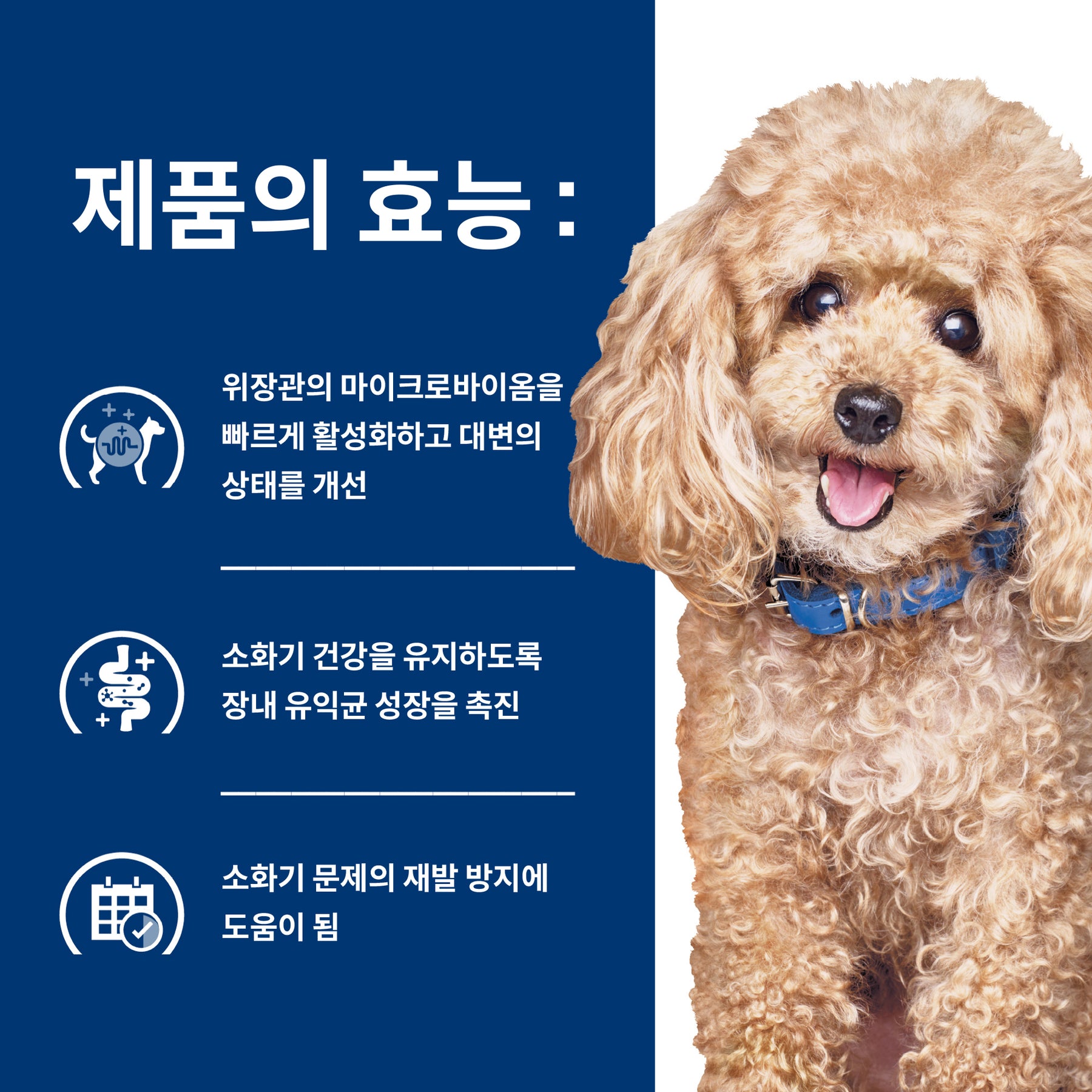 힐스 프리스트립션 다이어트 GI 바이옴 스몰바이트 반려견용 건사료