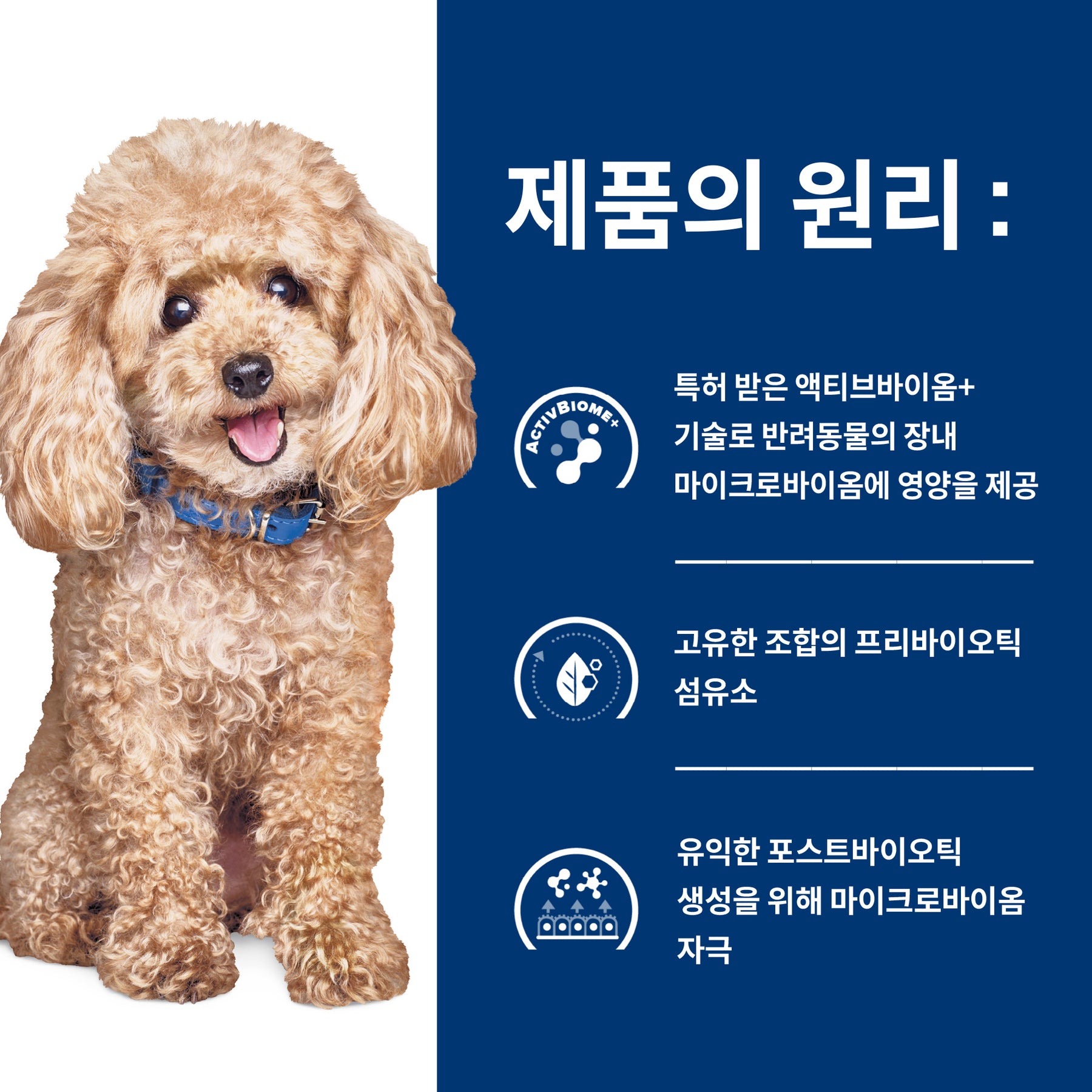 힐스 프리스트립션 다이어트 GI 바이옴 스몰바이트 반려견용 건사료