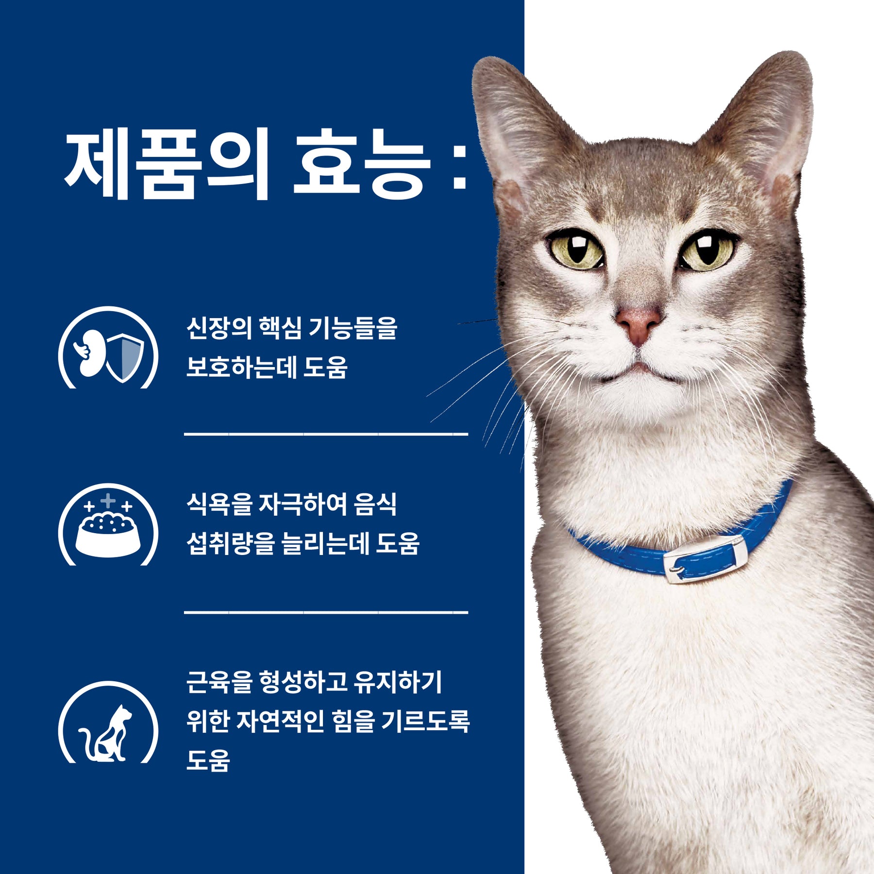 힐스 프리스크립션 다이어트 k/d 반려묘용 건사료