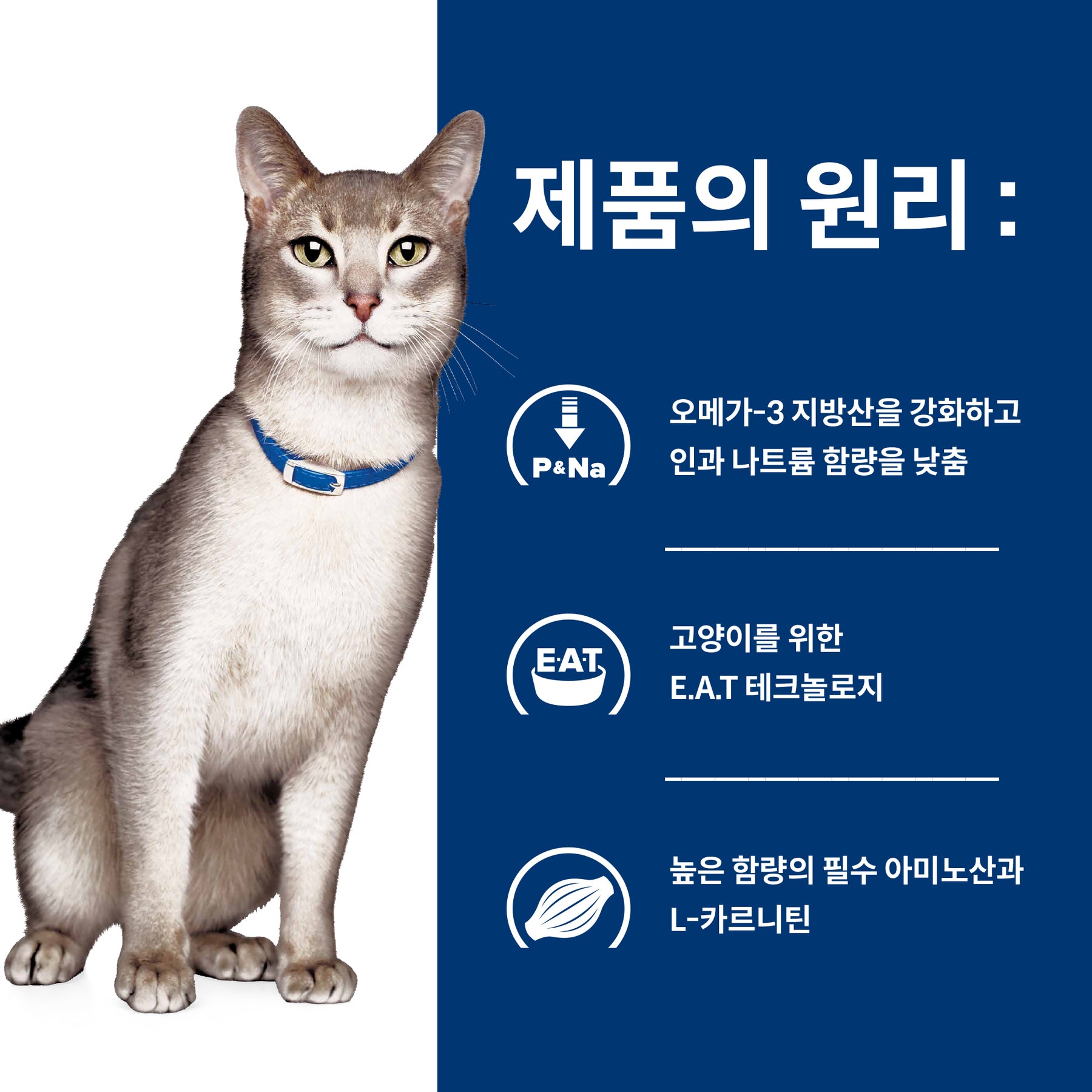 힐스 프리스크립션 다이어트 k/d 반려묘용 건사료