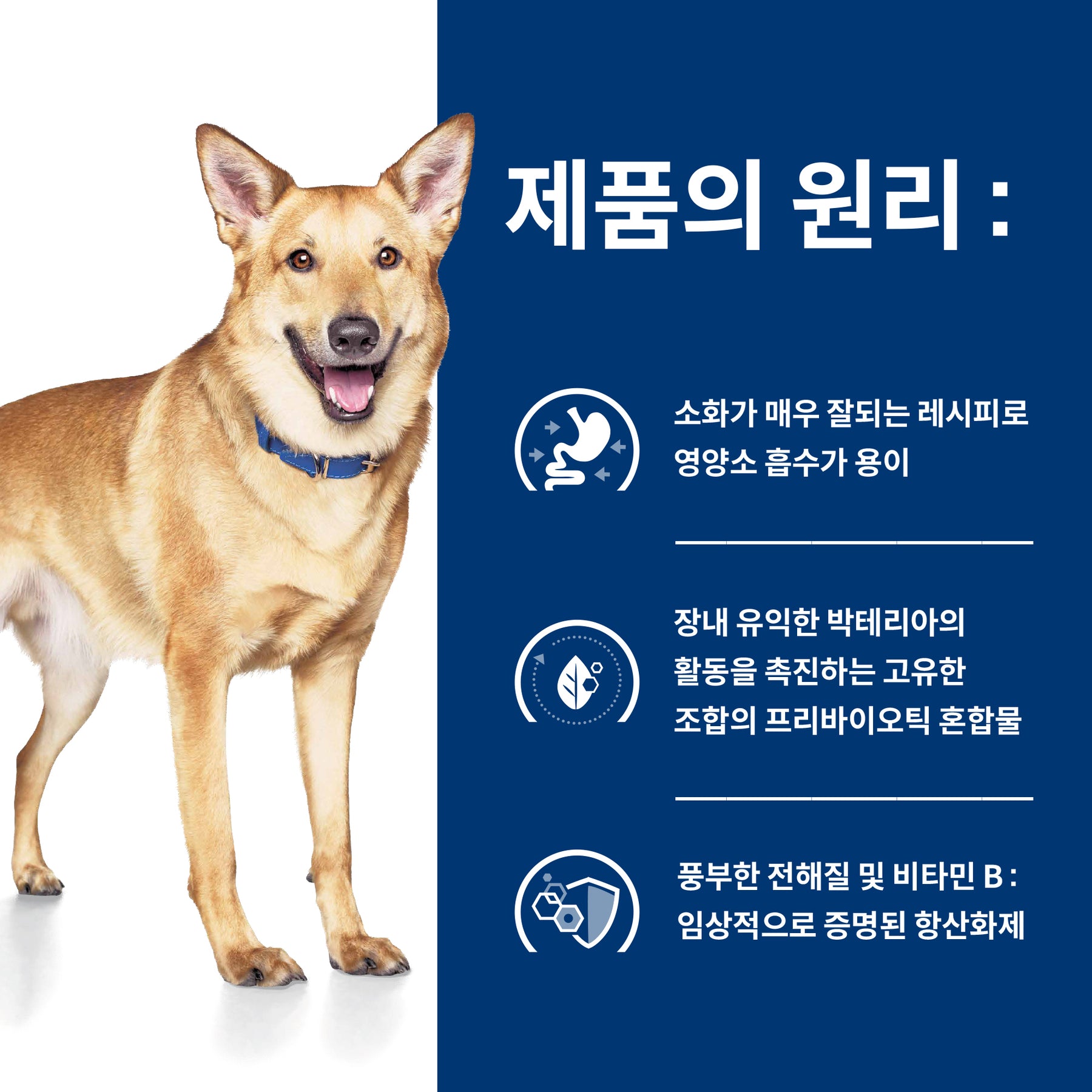 힐스 프리스크립션 다이어트 i/d 반려견용 건사료 7.98kg
