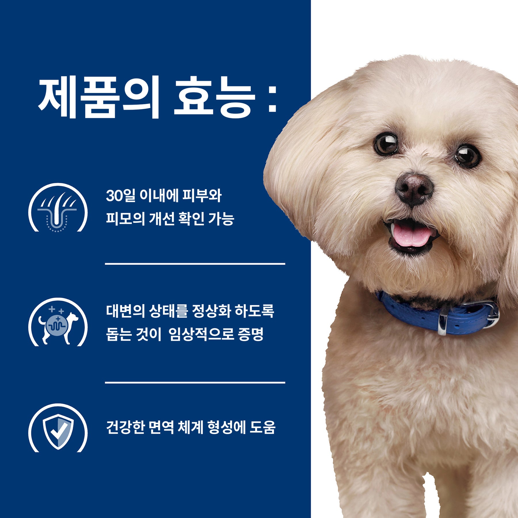 힐스 프리스크립션 다이어트 z/d 스몰바이트 반려견용 건사료