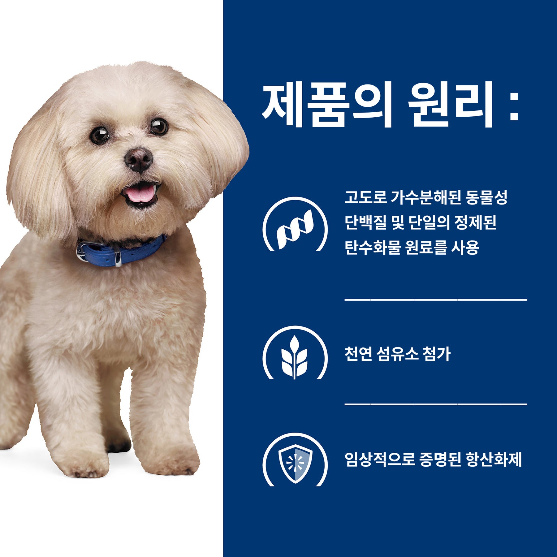 힐스 프리스크립션 다이어트 z/d 스몰바이트 반려견용 건사료