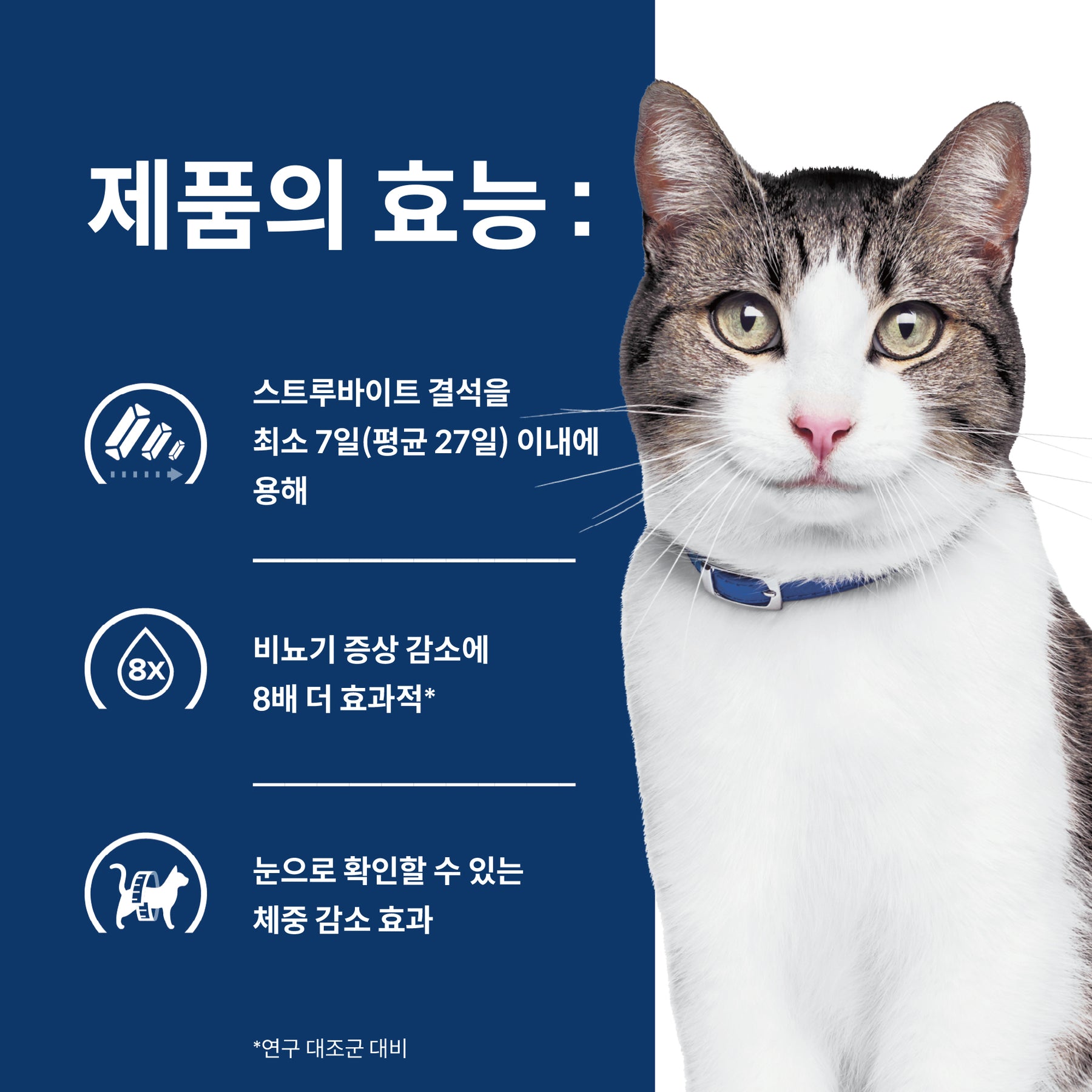 힐스 프리스크립션 다이어트 c/d 멀티케어 + 메타볼릭 반려묘용 건사료 2.88kg