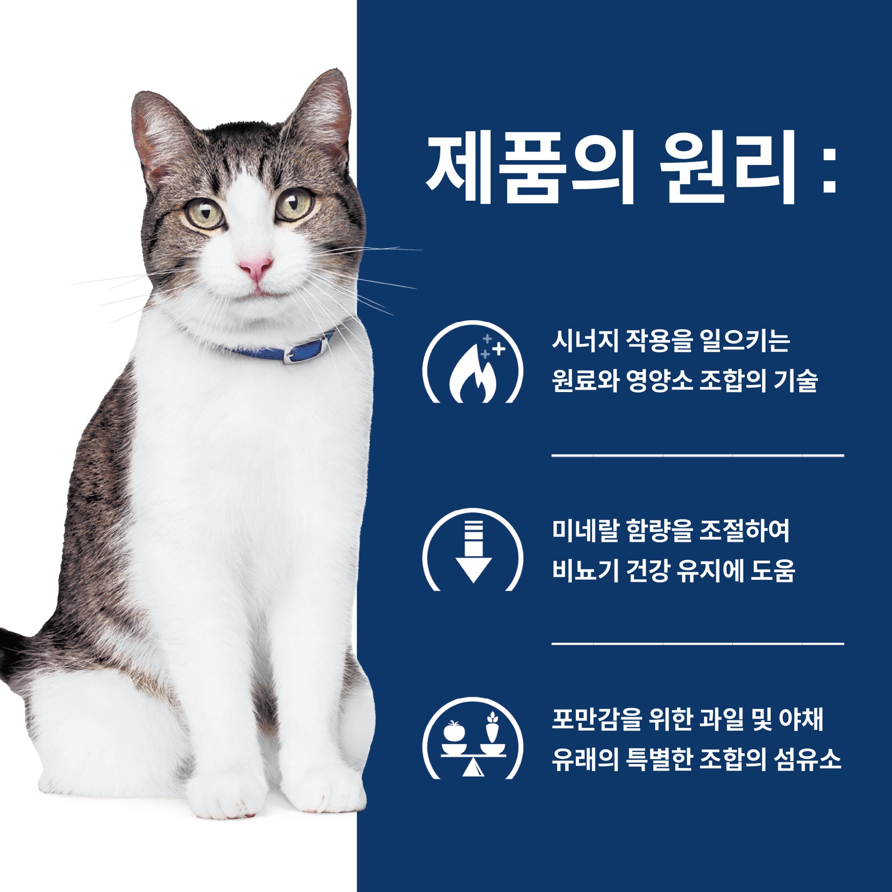 힐스 프리스크립션 다이어트 c/d 멀티케어 + 메타볼릭 반려묘용 건사료 2.88kg
